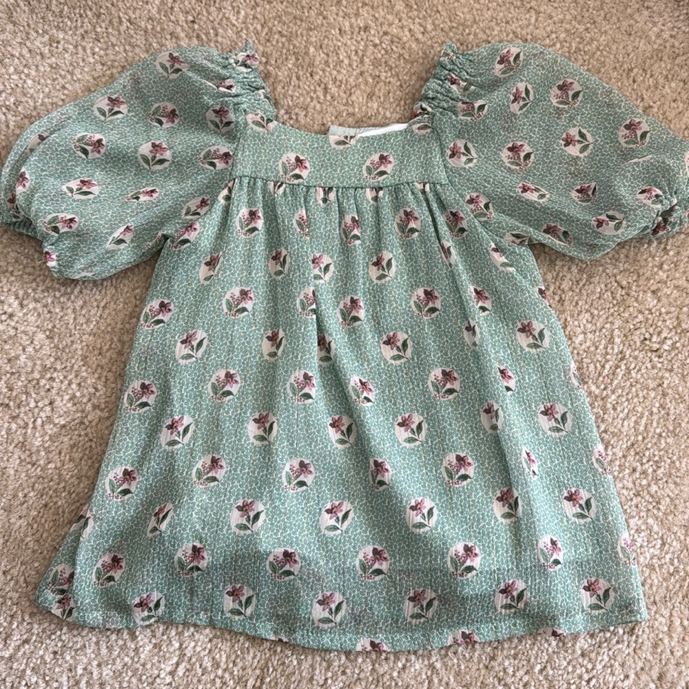 Zara dress
